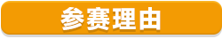 參賽理由