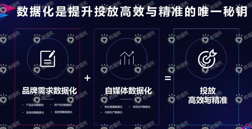 微播易_徐揚_自媒體營銷_數(shù)據(jù)猿-4