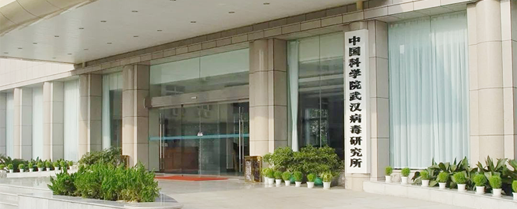 武漢病毒研究所遭黑客入侵！蓋茨基金會、世衛(wèi)組織等多家機構(gòu)近2.5萬郵箱數(shù)據(jù)遭極端分子公開