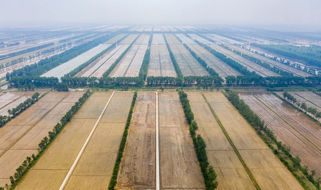 無人機_無人車_新疆棉花_高科技農(nóng)業(yè)_數(shù)據(jù)猿-10