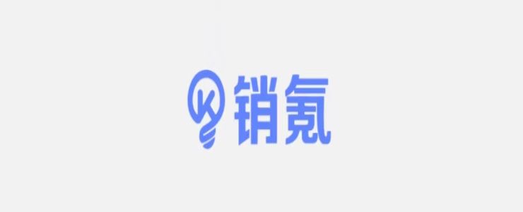 再獲殊榮，銷(xiāo)氪榮登數(shù)據(jù)猿「金猿榜2021大數(shù)據(jù)產(chǎn)業(yè)創(chuàng)新服務(wù)產(chǎn)品榜」