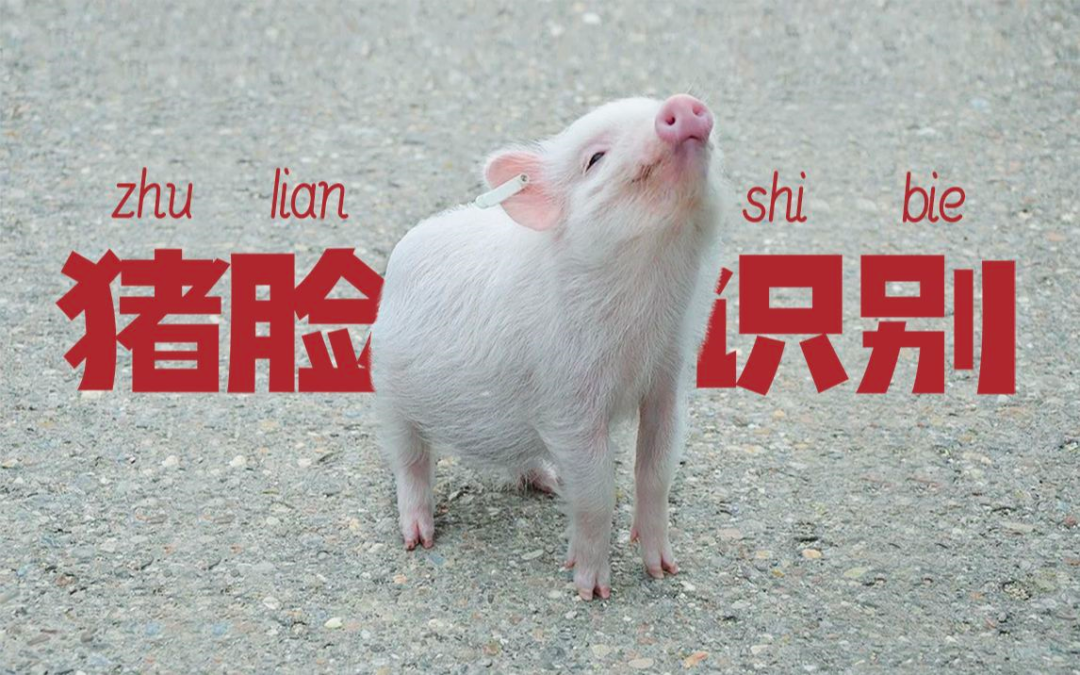 超級豬周期拐點未到，用“數(shù)”養(yǎng)豬的春天卻已來？