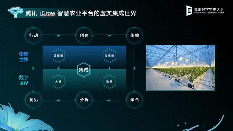 互聯(lián)網(wǎng)_農(nóng)業(yè)版圖_騰訊-5