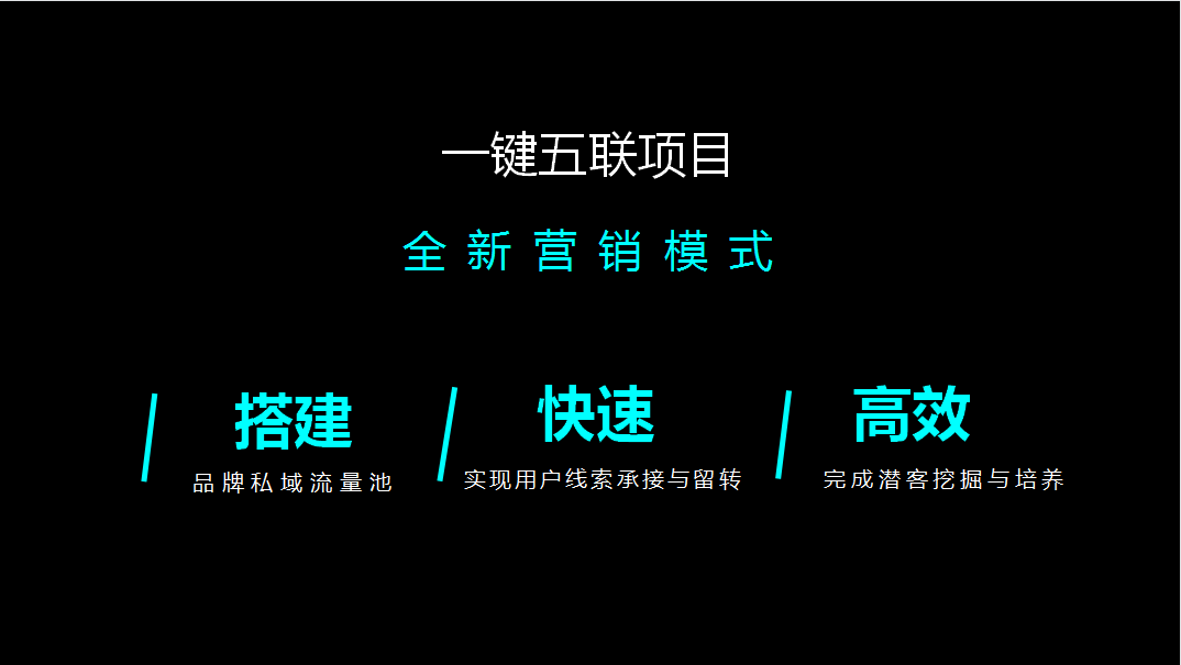 金猿案例展_福特電馬_一鍵五聯(lián)私域流量運(yùn)營-2