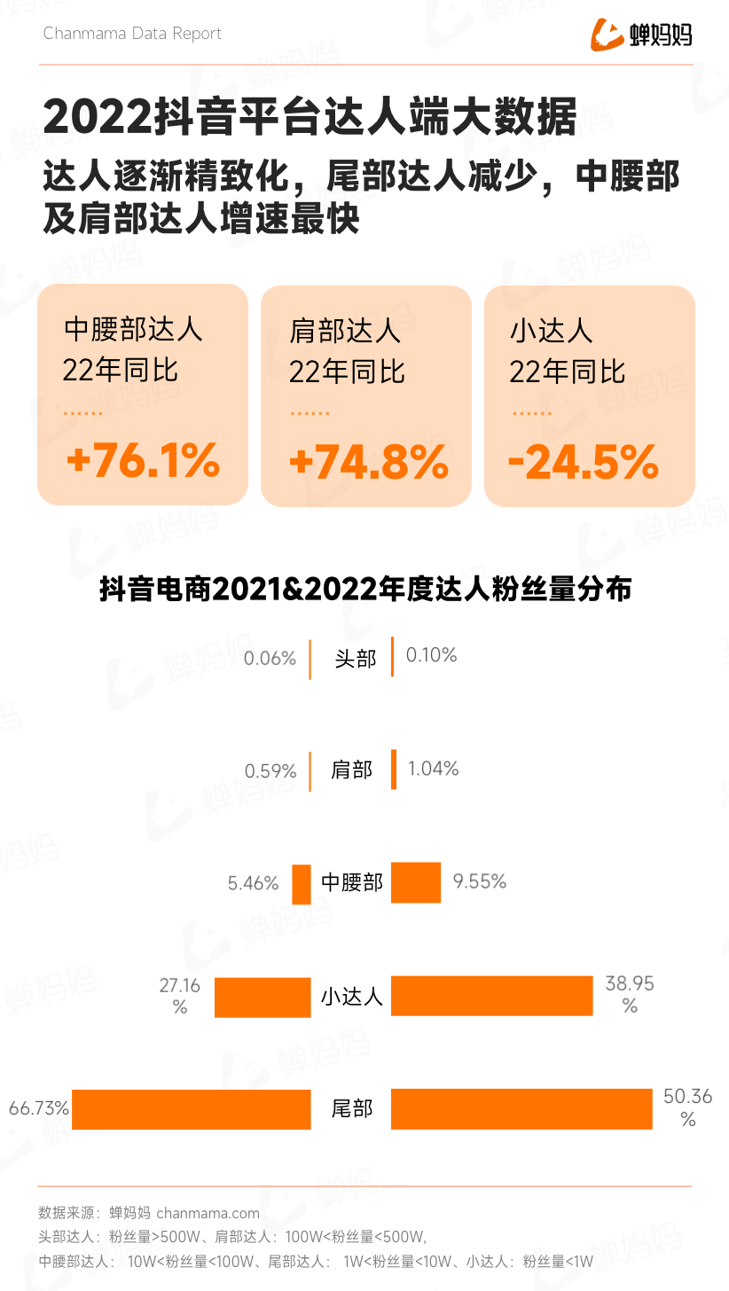 蟬大師_抖音2022電商年度報告_全域電商-2