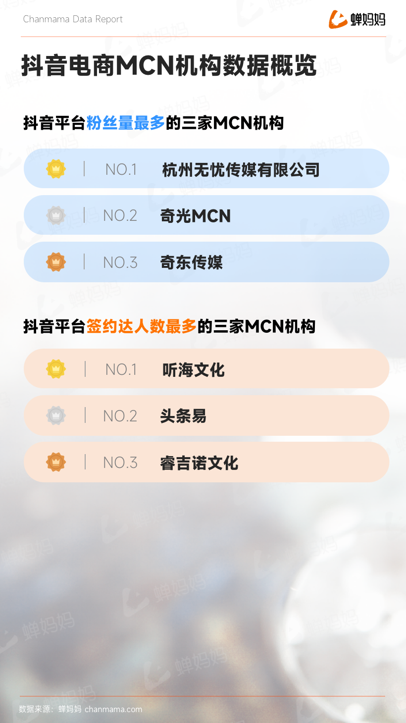 蟬大師_抖音2022電商年度報告_全域電商-10