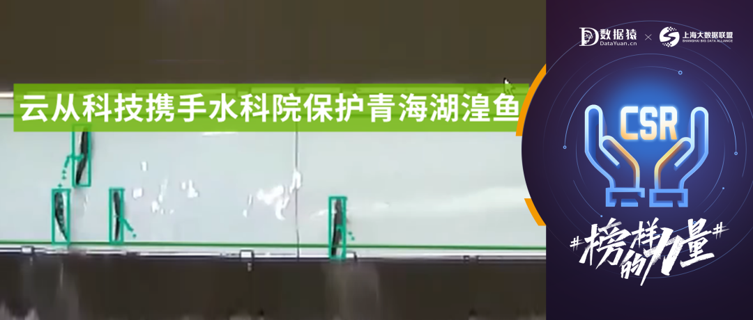 【公益案例展】中國水利水電科學(xué)研究院——云從科技青海湖湟魚監(jiān)測保護(hù)項(xiàng)目