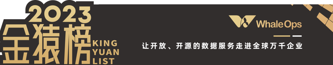 2023_大數(shù)據(jù)產(chǎn)業(yè)_年度最具投資價值-12