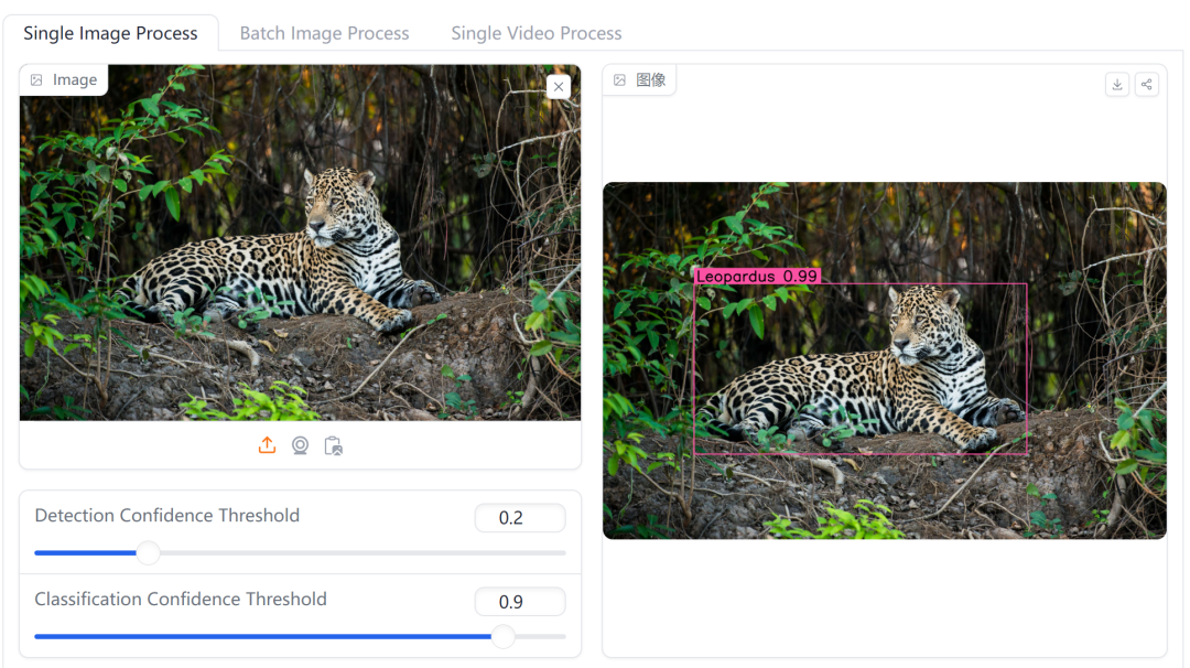 Pytorch-Wildlife_微軟_AI-7