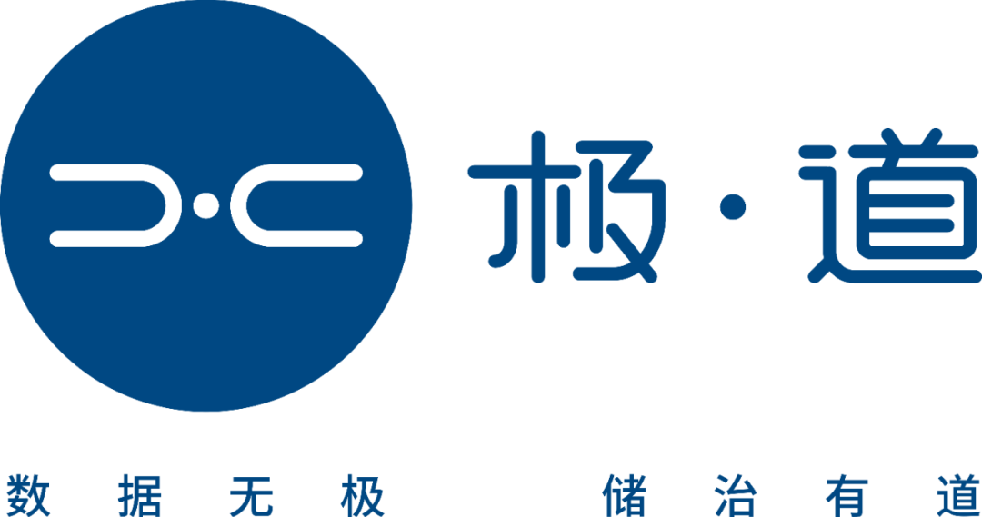 2025_中國數(shù)據(jù)存儲_企業(yè)盤點(diǎn)-3