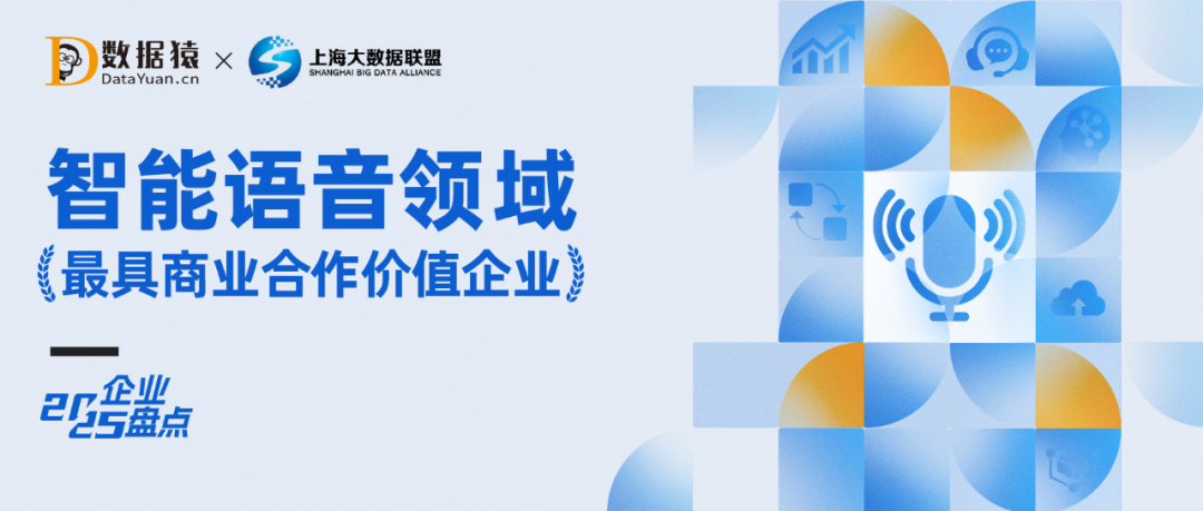 2025中國智能語音領(lǐng)域最具商業(yè)合作價(jià)值企業(yè)盤點(diǎn)